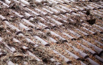 East Rounton roof cleaning companies